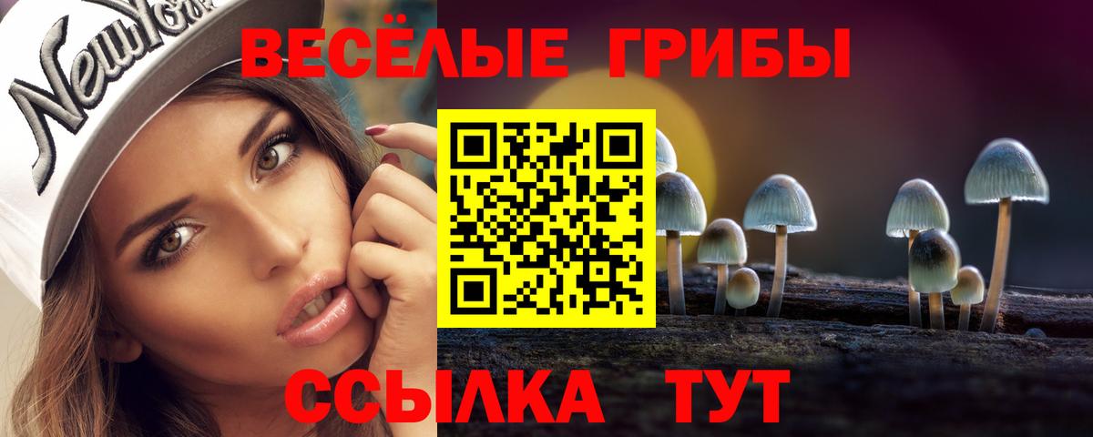Саров  Галлюциногенные грибы ЛСД  Галлюциногенные грибы Magic Shrooms  Вход с VPN 